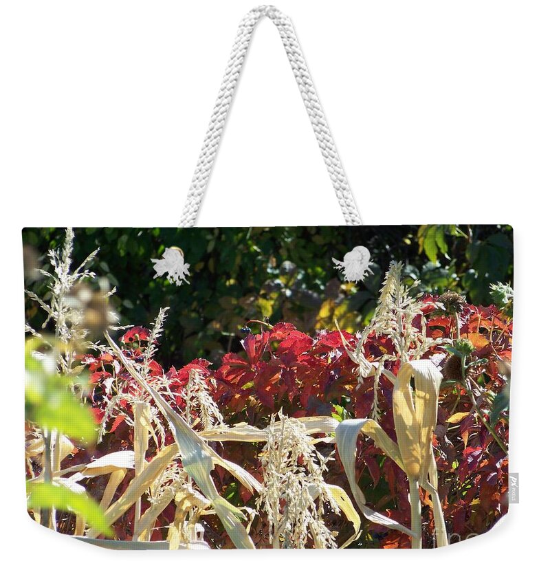 Fall Colors Weekender Tote Bag featuring the photograph Fall Harvest of Color by Dorrene BrownButterfield