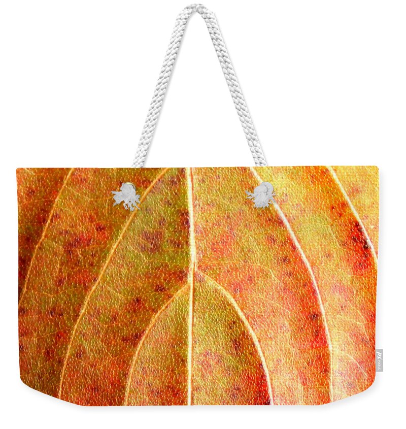 Fall Leaves Weekender Tote Bag featuring the photograph Fall Leaf upclose by Duane McCullough