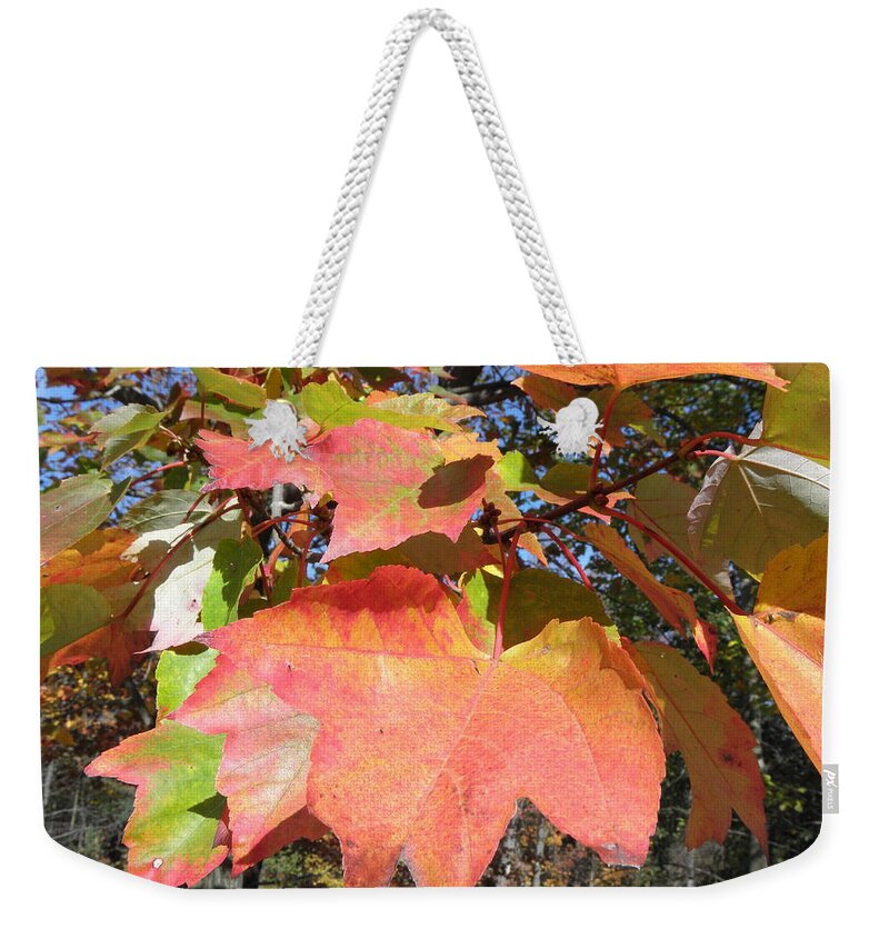 Fall Weekender Tote Bag featuring the photograph Fall Leaves by Kim Galluzzo