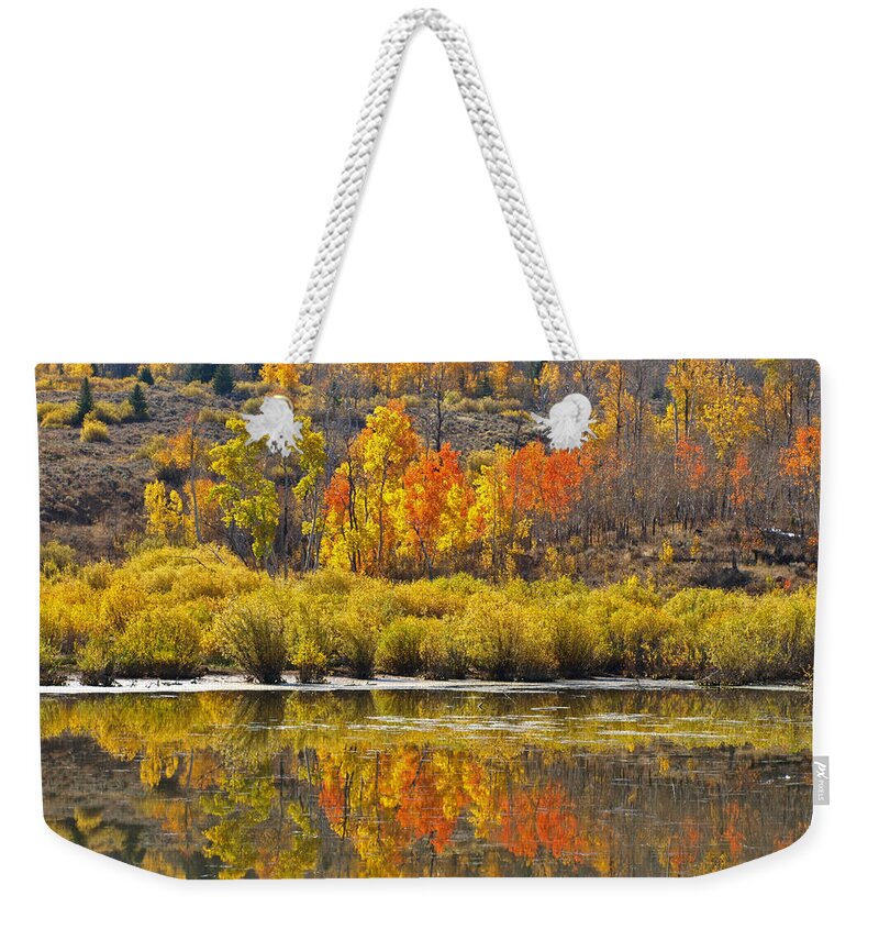 Water Weekender Tote Bag featuring the photograph Fall On The Marsh by DeeLon Merritt