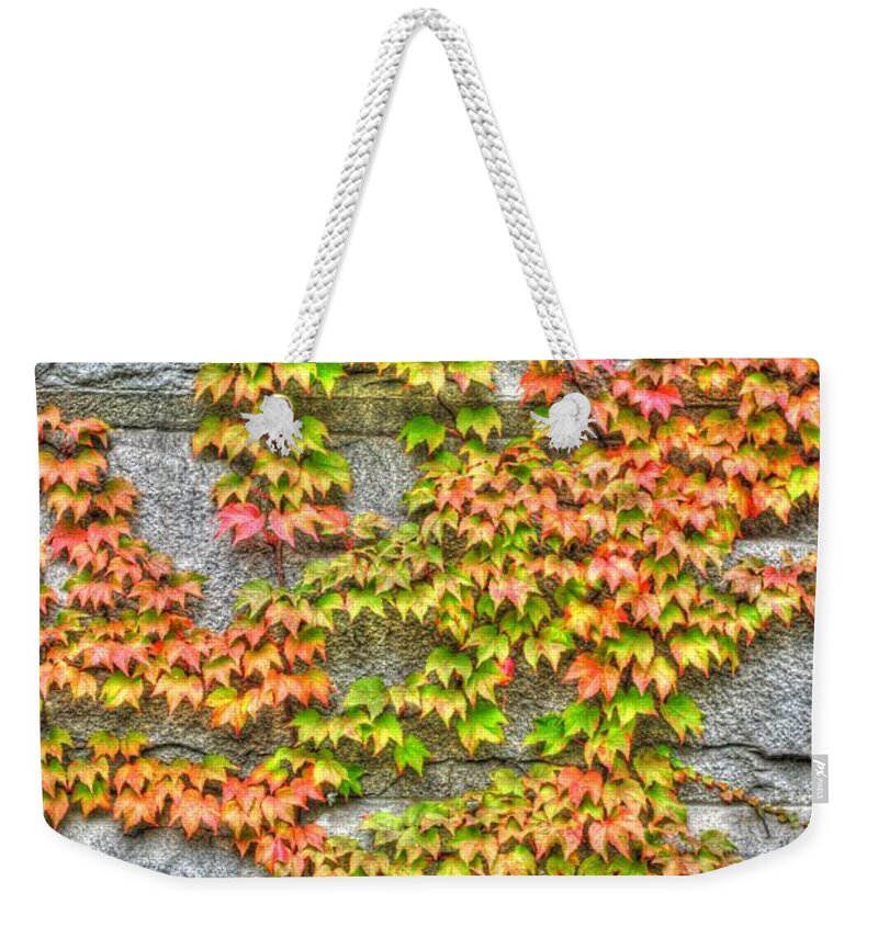  Weekender Tote Bag featuring the photograph Fall Wall by Michael Frank Jr