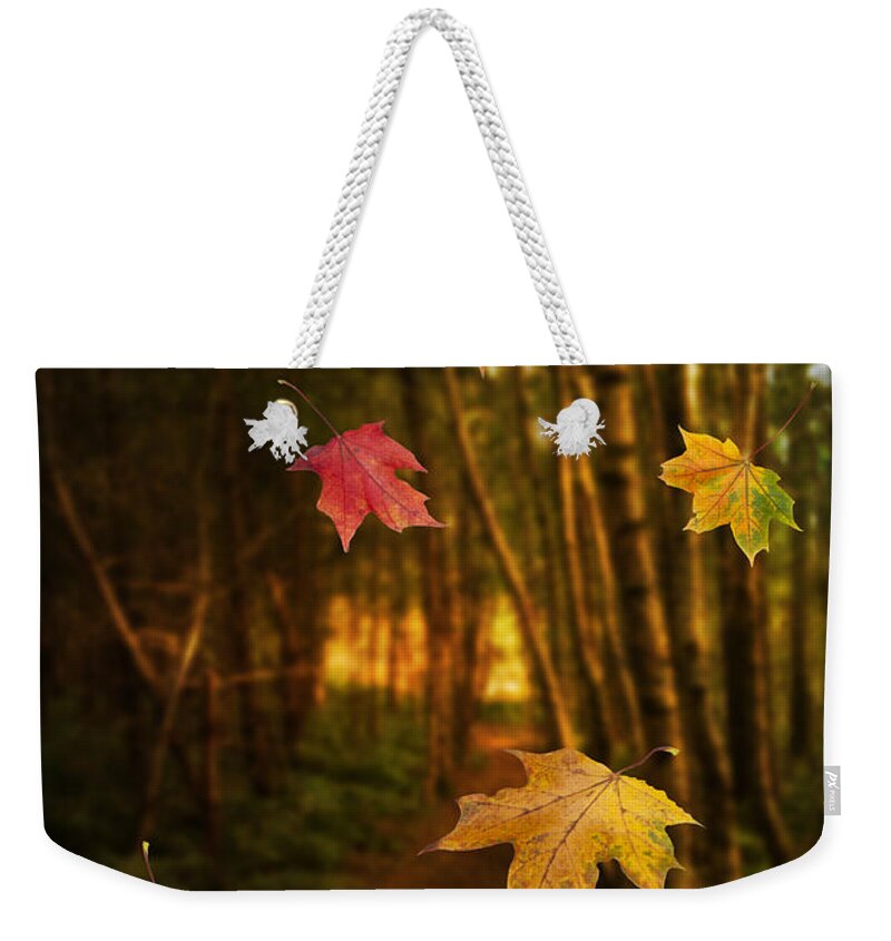 Autumn Weekender Tote Bag featuring the photograph Falling Leaves by Amanda Elwell