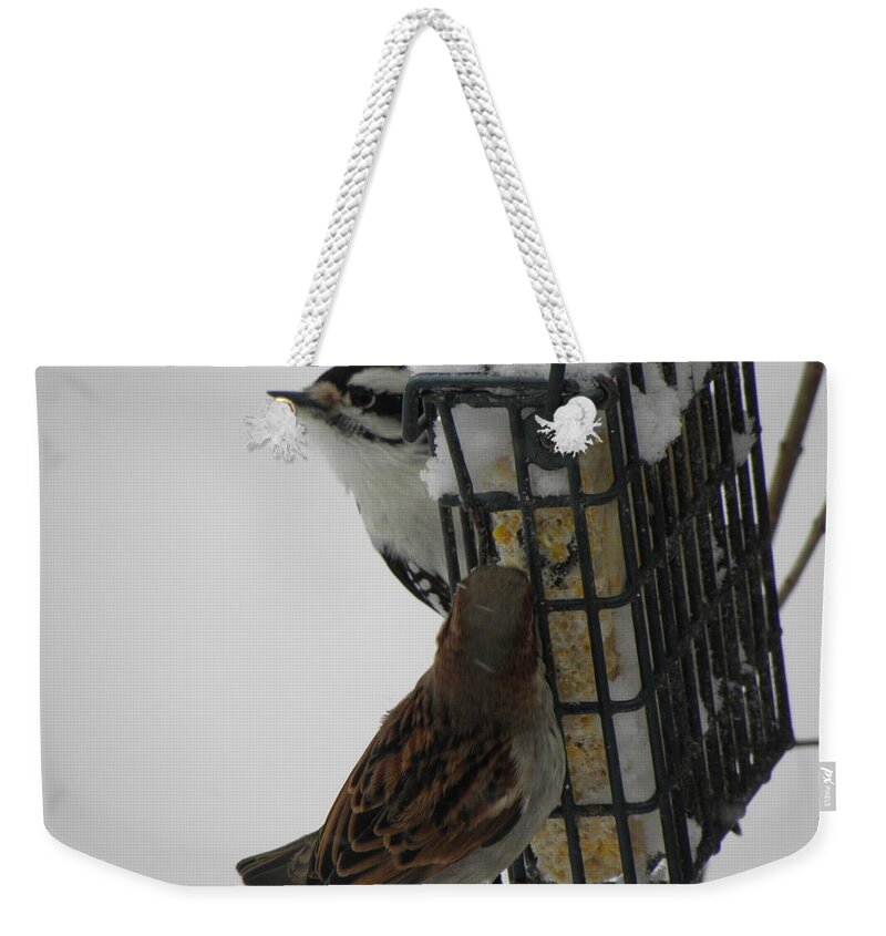 Downy Weekender Tote Bag featuring the photograph Feeding Time After The Storm by Kim Galluzzo Wozniak