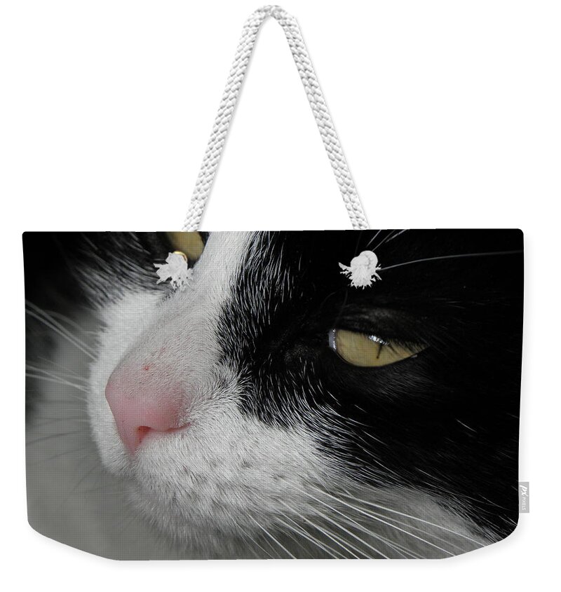 Feline Weekender Tote Bag featuring the photograph Feline Beauty by Kim Galluzzo