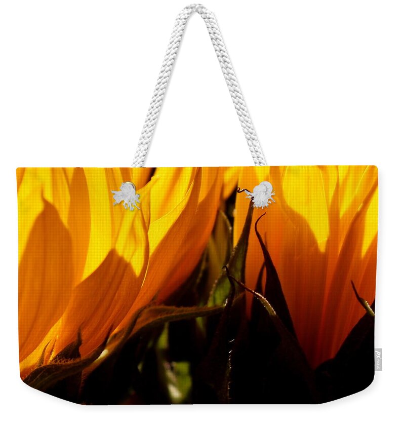 Fiery Weekender Tote Bag featuring the photograph Fiery Sunflowers by Kume Bryant