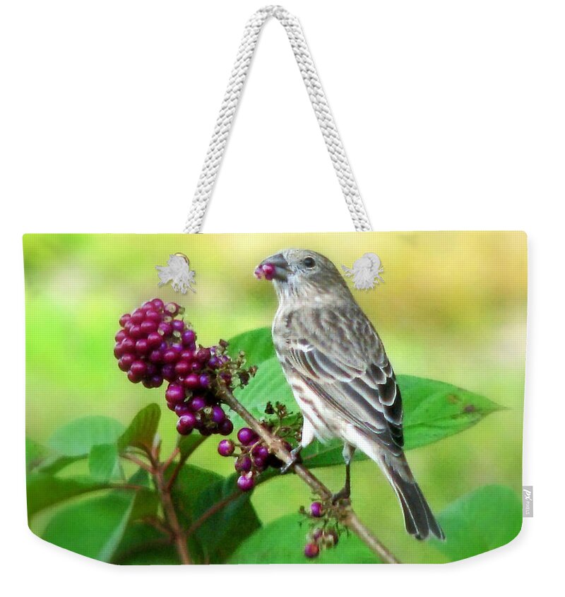 Nature Weekender Tote Bag featuring the photograph Finch Eating Beautyberry by Peggy Urban