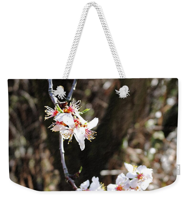 Altered Weekender Tote Bag featuring the photograph First Sakura Branch by Laura Iverson