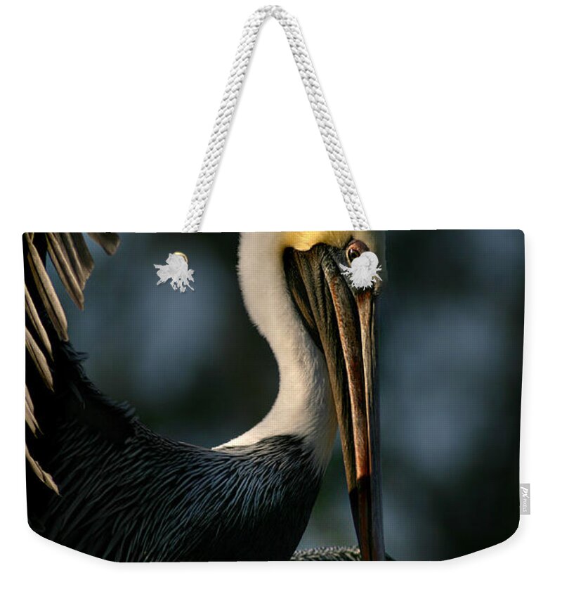 Nature Weekender Tote Bag featuring the photograph Fish Tale by Joan McCool