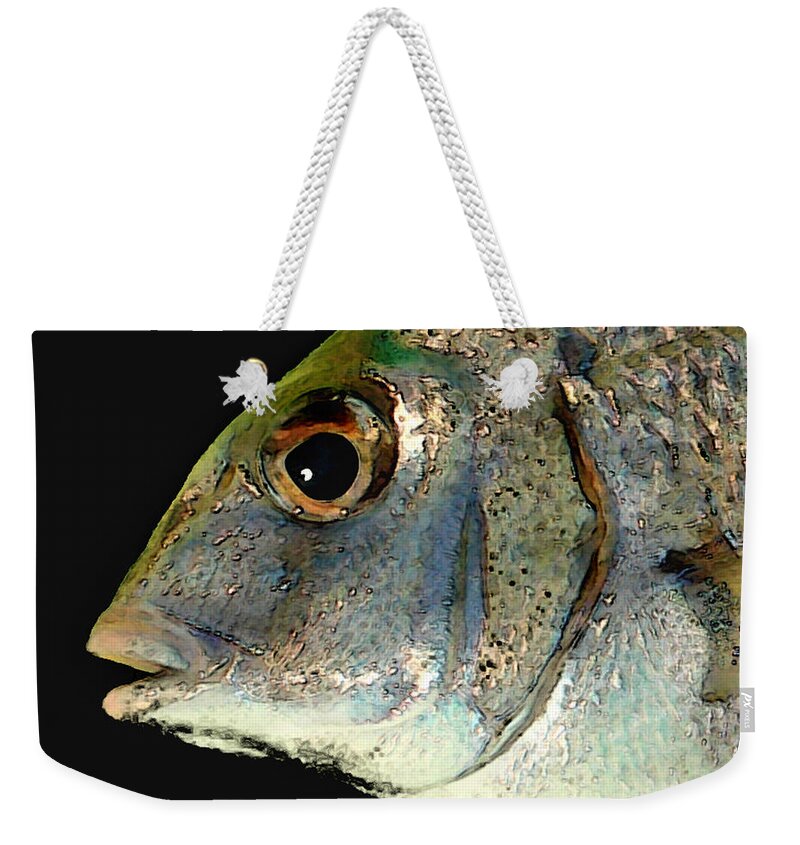 Fish Weekender Tote Bag featuring the photograph Fisheye by Karen Lynch