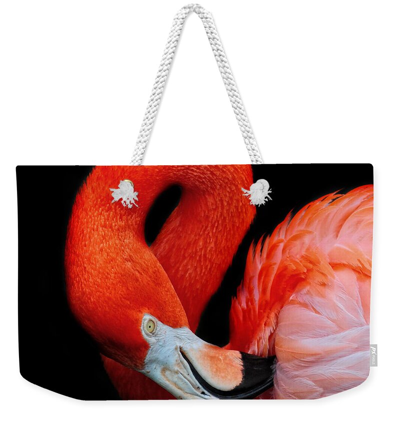 Flamingo Weekender Tote Bag featuring the photograph Flamingo Preening by Dave Mills