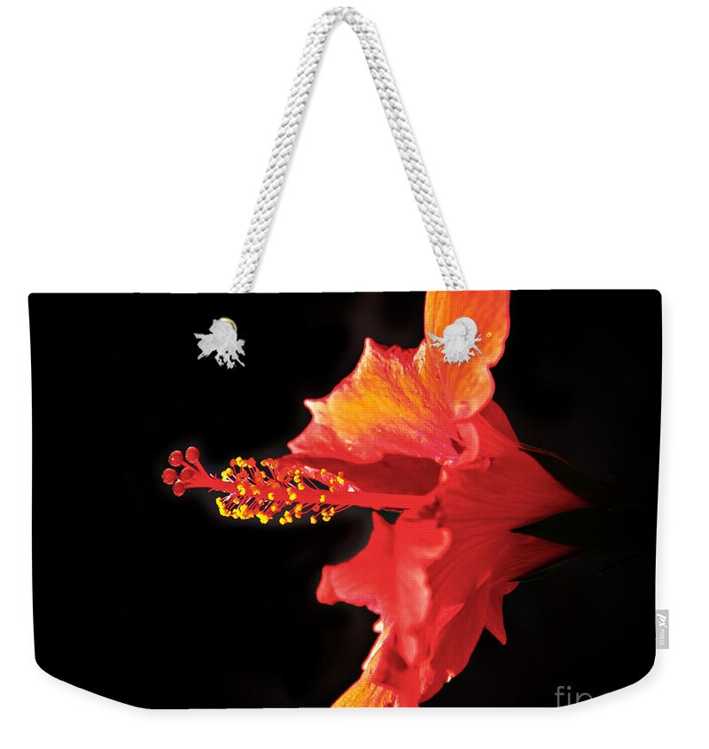 Hibiscus Weekender Tote Bag featuring the photograph Floating Hibiscus by Robert Bales