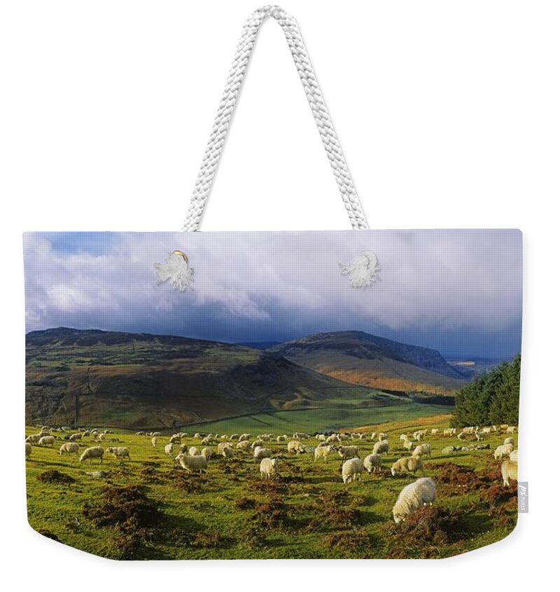 Co Wicklow Weekender Tote Bag featuring the photograph Flock Of Sheep Grazing In A Field by The Irish Image Collection 