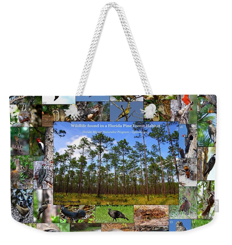 Florida Wildlife Collage Weekender Tote Bag featuring the photograph Florida Wildlife Photo Collage by Barbara Bowen