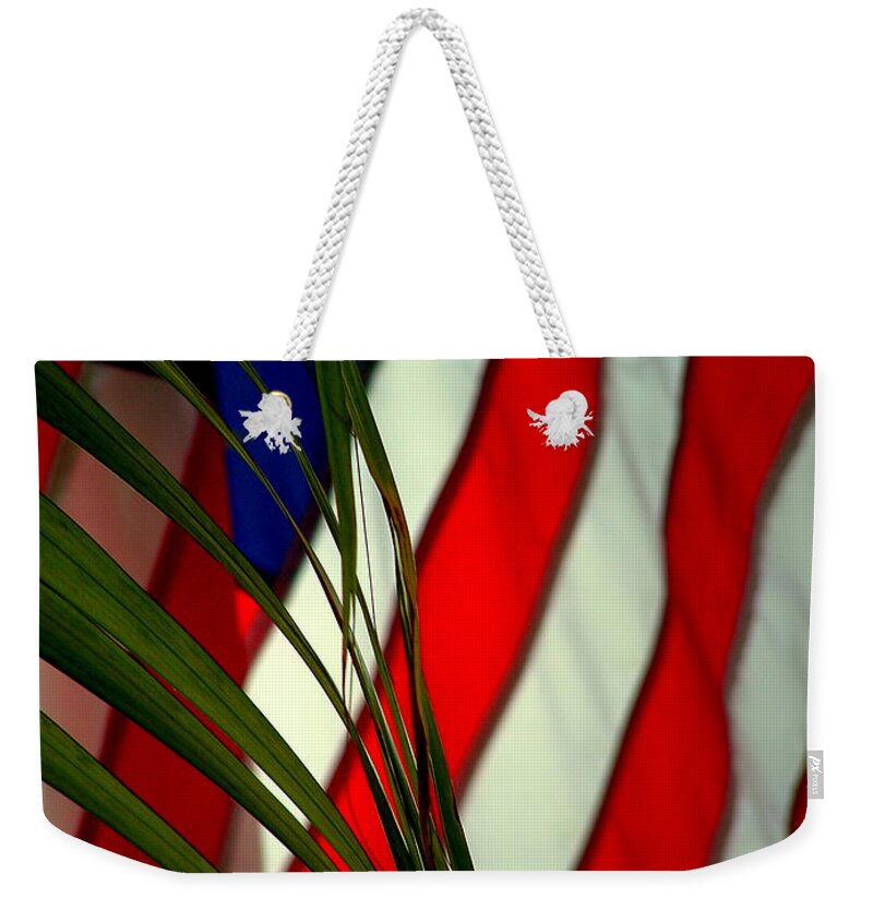 Flag Weekender Tote Bag featuring the photograph Floridamerica by David Weeks