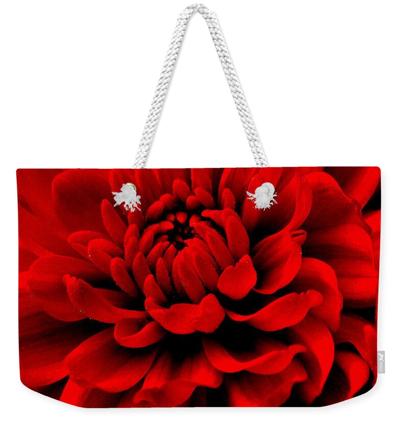 Flower Weekender Tote Bag featuring the photograph Flower 1 by Jeff Heimlich