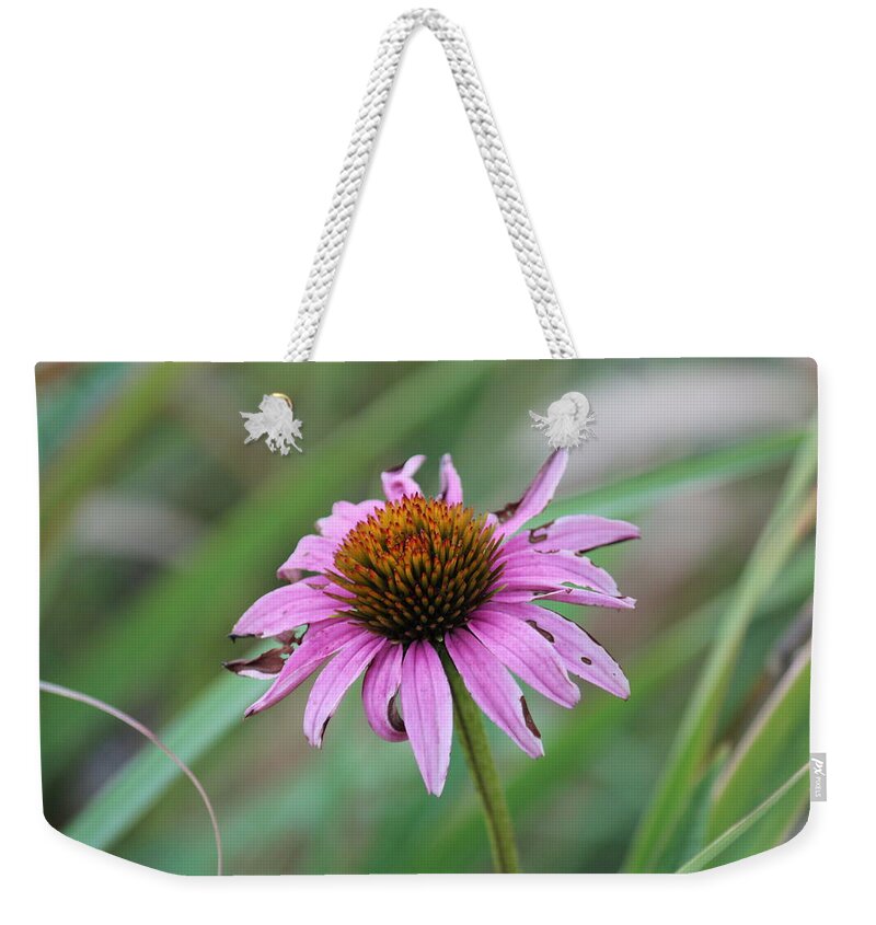 Flower Weekender Tote Bag featuring the photograph Flower at Waterfall Glen Forest Preserve by Peter Ciro