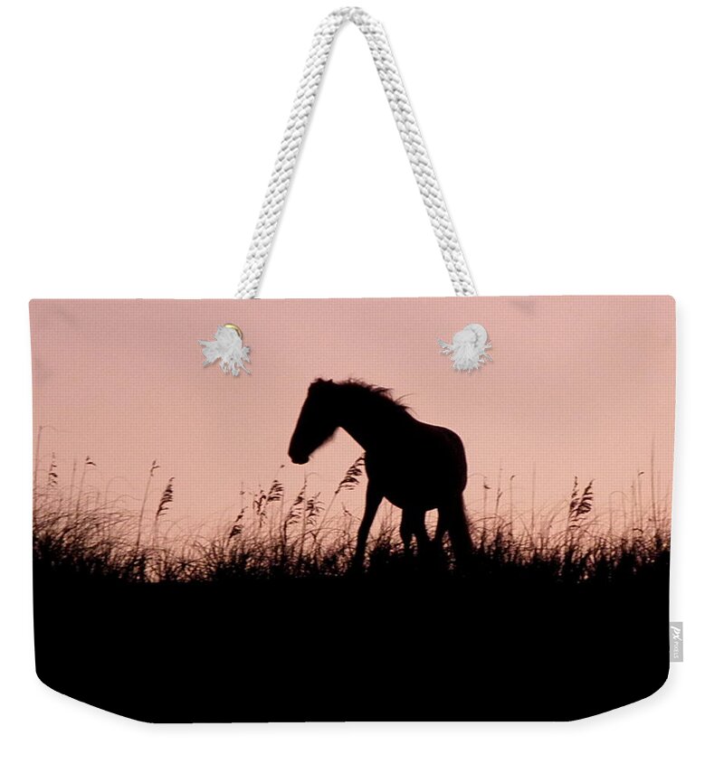 Foal Weekender Tote Bag featuring the photograph Foal At Sunset by Kim Galluzzo Wozniak