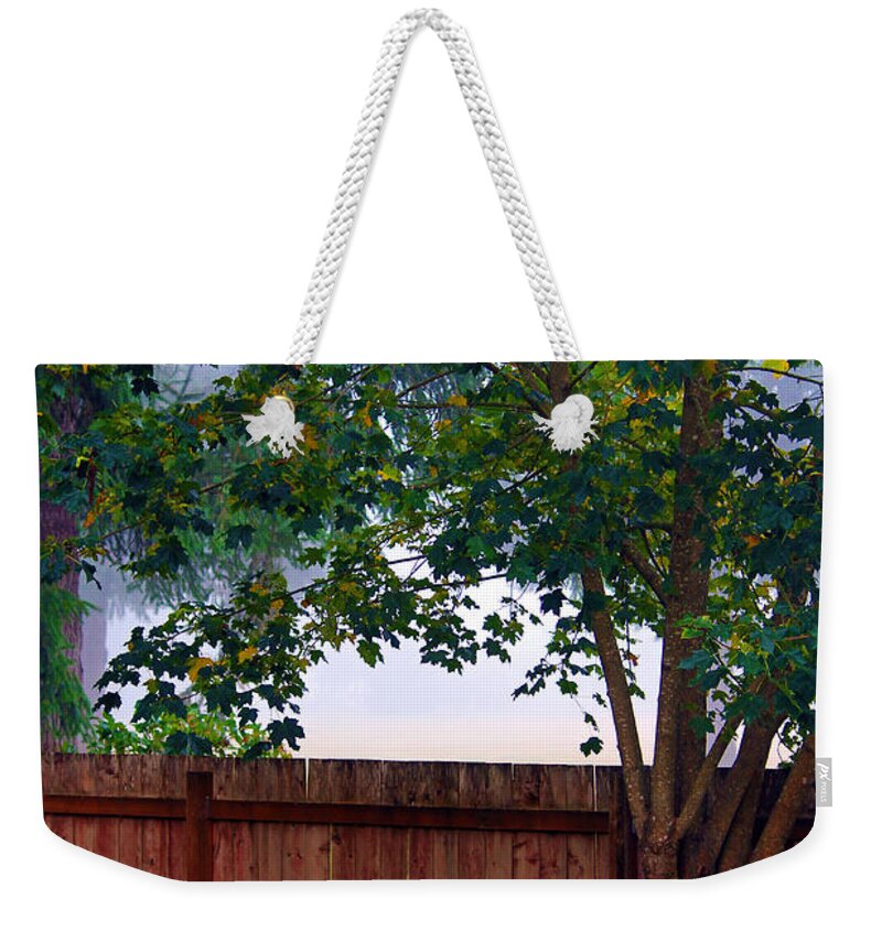Wood Weekender Tote Bag featuring the photograph Fog In Olympia by Jeanette C Landstrom