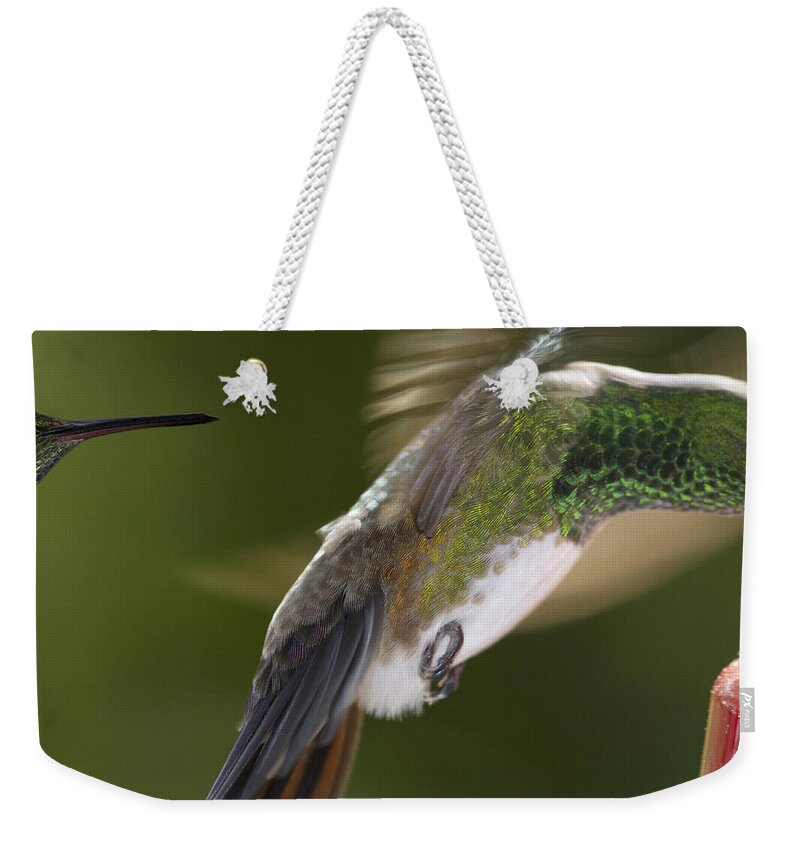 Hummingbird Weekender Tote Bag featuring the photograph Follow-up by Heiko Koehrer-Wagner