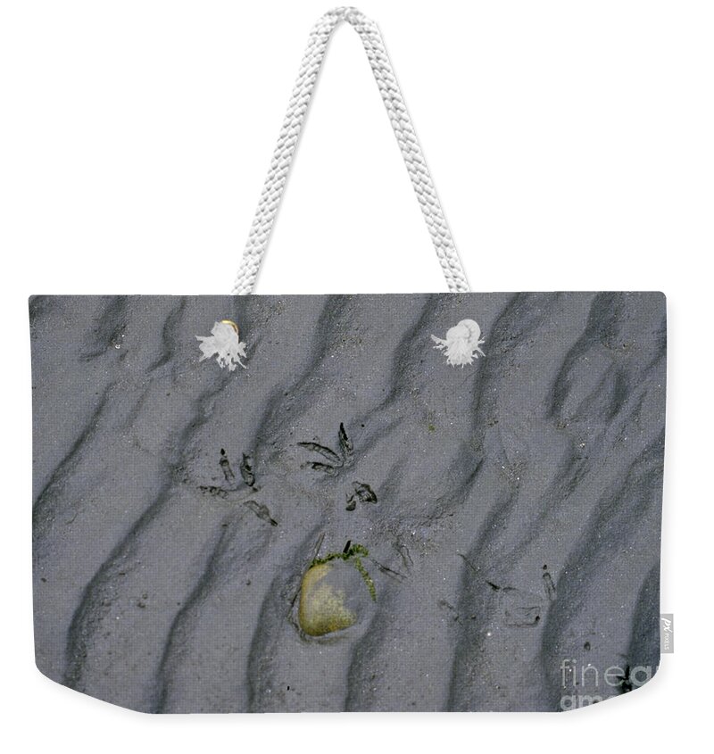 Sand Weekender Tote Bag featuring the photograph Footprints by Sharon Elliott