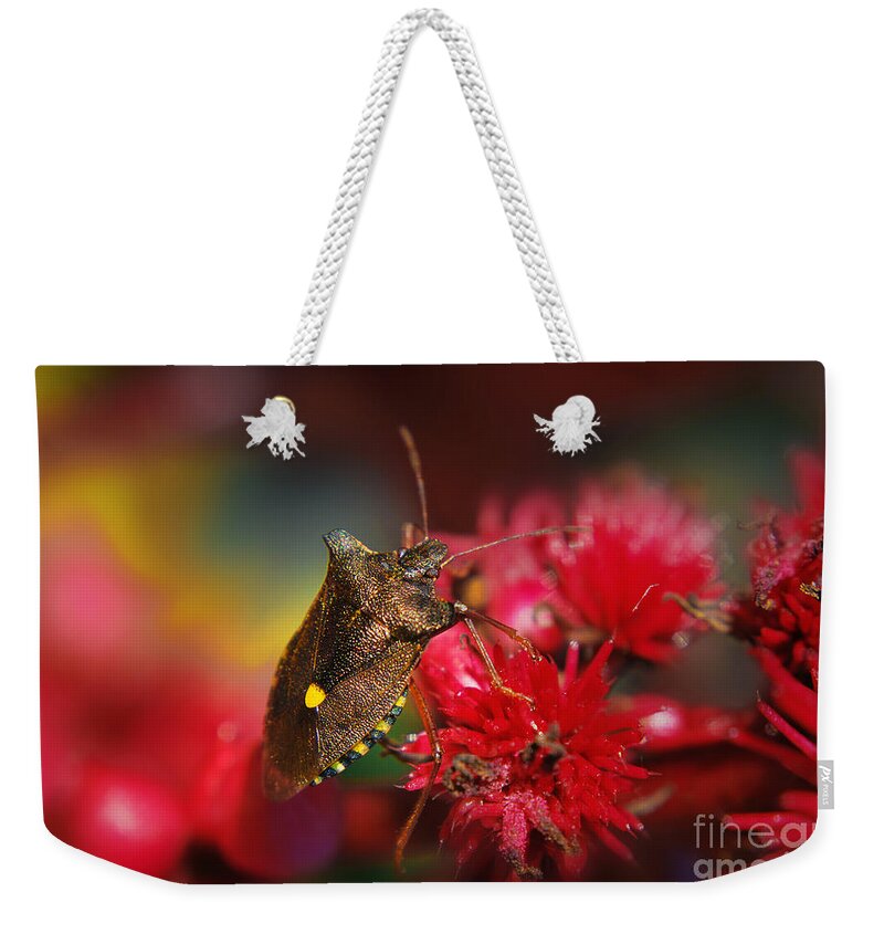 Yhun Suarez Weekender Tote Bag featuring the photograph Forest Bug - Pentatoma Rufipes by Yhun Suarez