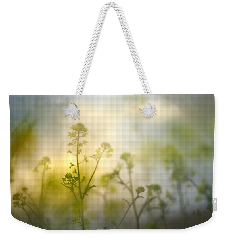 Sunset Weekender Tote Bag featuring the photograph Forest flowers at sunset by Guido Montanes Castillo