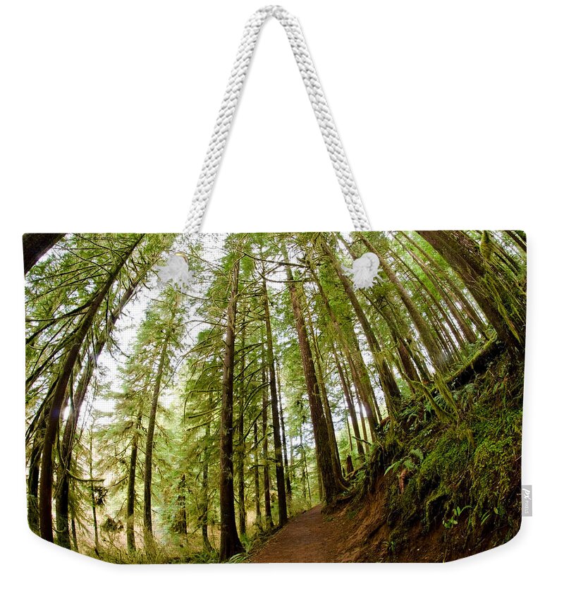 Forest Weekender Tote Bag featuring the photograph Forest Love by Margaret Pitcher