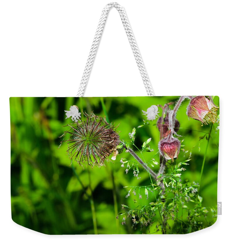 Closeup Weekender Tote Bag featuring the photograph Forest nymph by Michael Goyberg