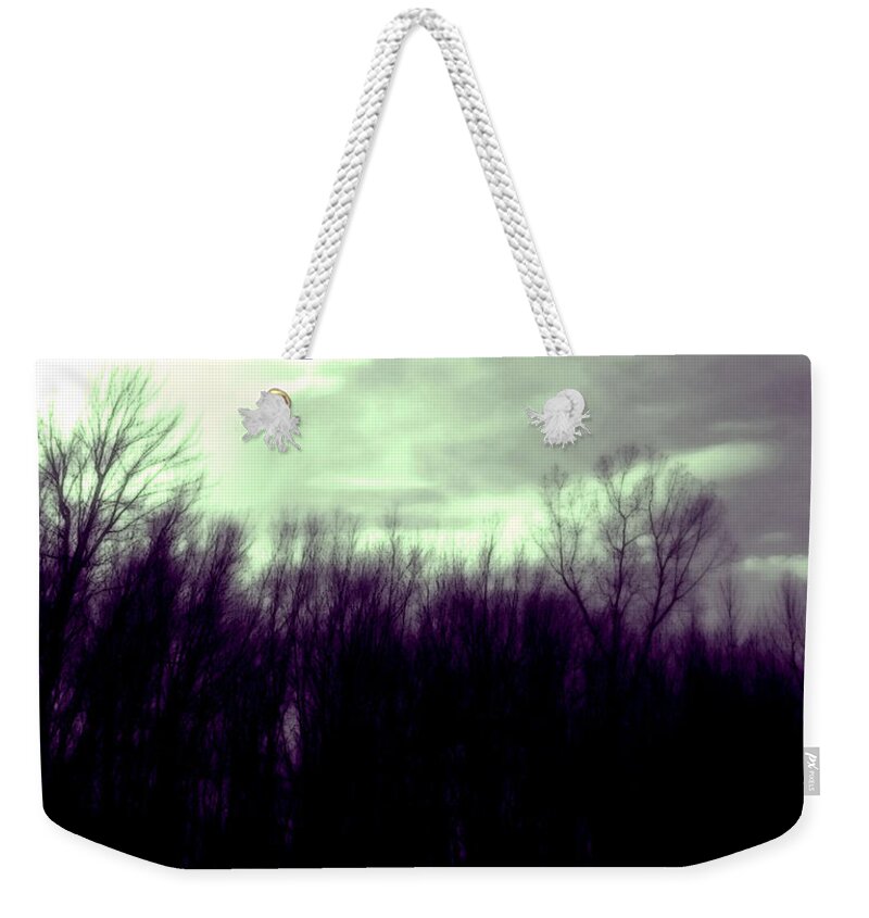 Forest Weekender Tote Bag featuring the photograph Forest of Violet by Rhonda Barrett