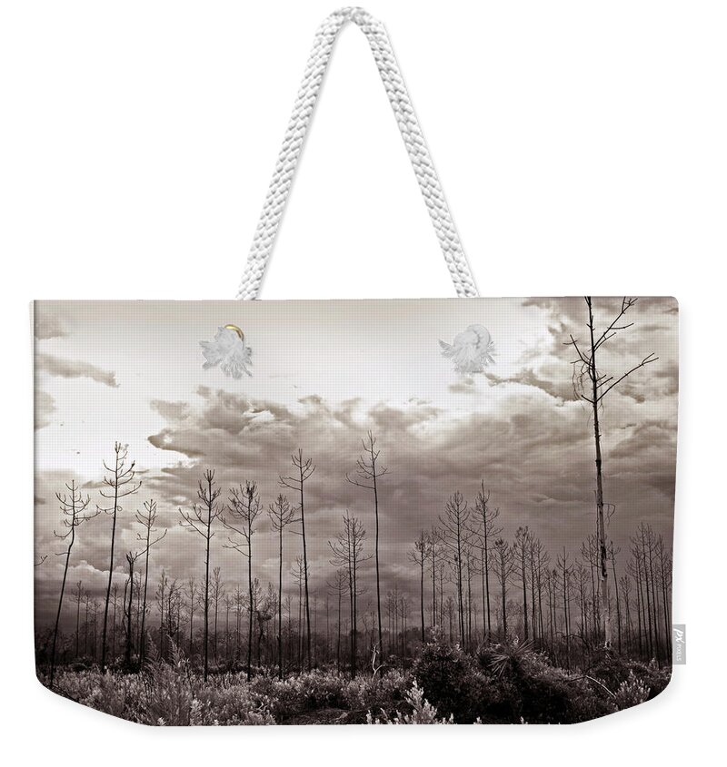 Tree Weekender Tote Bag featuring the photograph Forest Regrowth by Farol Tomson
