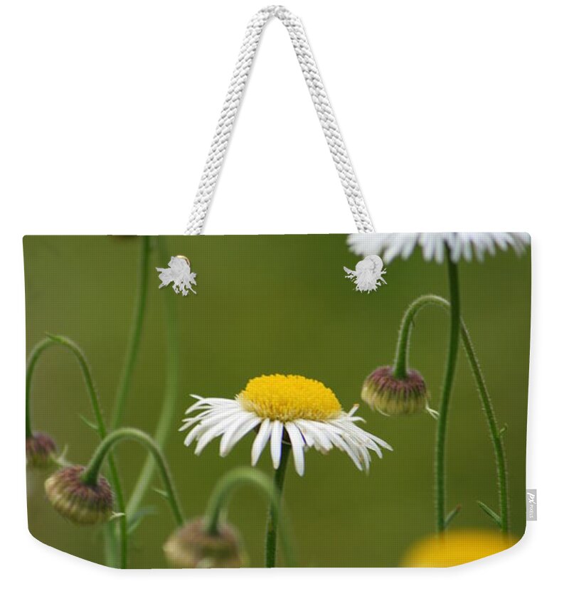 Daisy Weekender Tote Bag featuring the photograph Four Sisters by Julie Lueders 