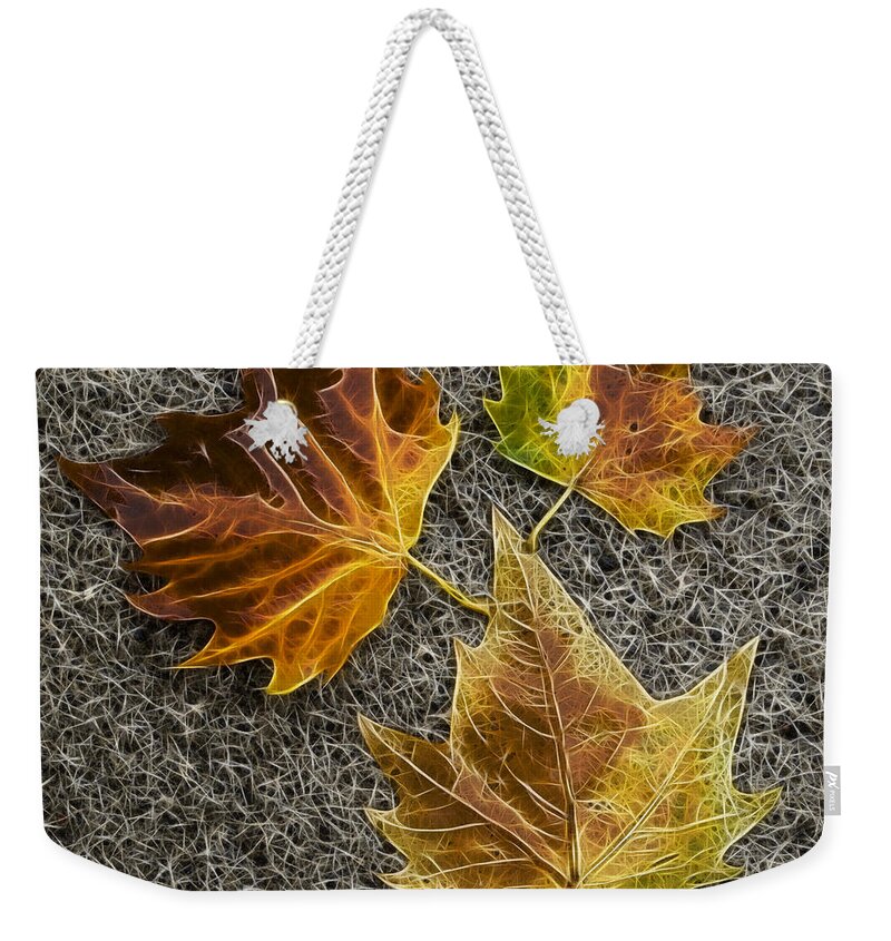 Leaves Weekender Tote Bag featuring the photograph Fractal leaves by Steev Stamford