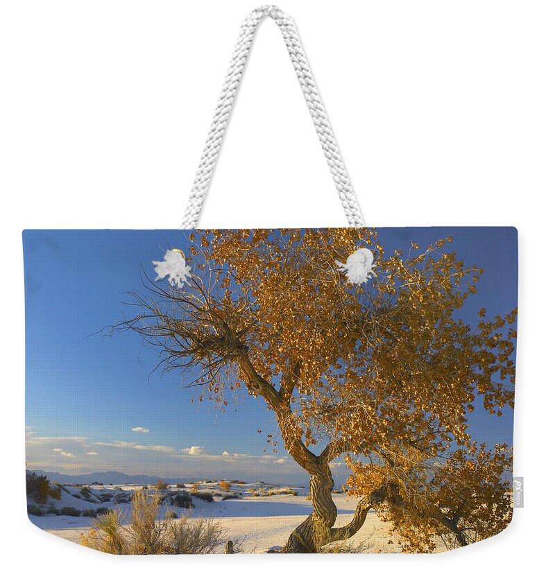00175140 Weekender Tote Bag featuring the photograph Fremont Cottonwood Tree Single Tree by Tim Fitzharris