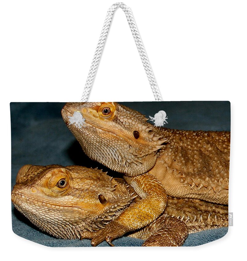 Reptiles Weekender Tote Bag featuring the photograph Friends for Life by Karen Harrison Brown