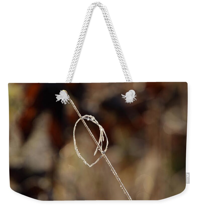 Season Weekender Tote Bag featuring the photograph Frost covered grass by Ulrich Kunst And Bettina Scheidulin