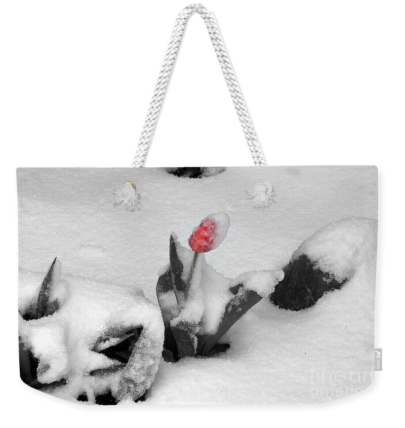 Tulips Weekender Tote Bag featuring the photograph Frosted Pink by Dorrene BrownButterfield