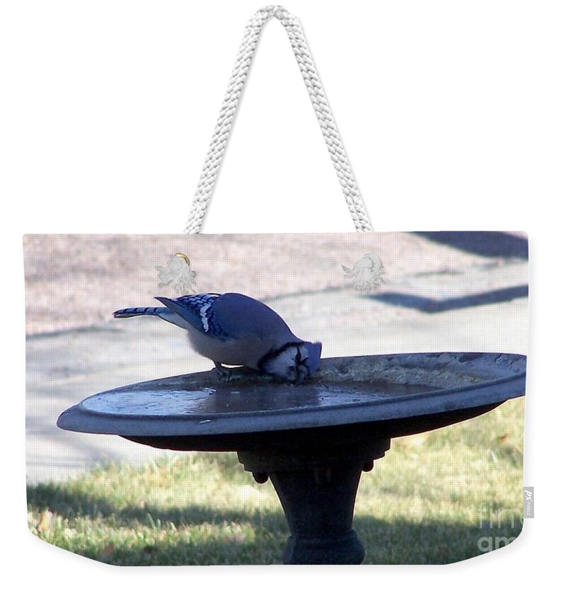 Blue Jay Weekender Tote Bag featuring the photograph Frustration by Dorrene BrownButterfield