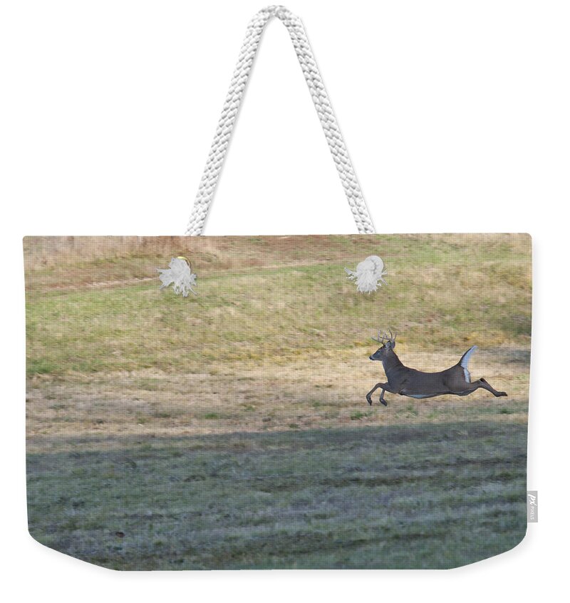 Deer Weekender Tote Bag featuring the photograph Full Speed by David Arment