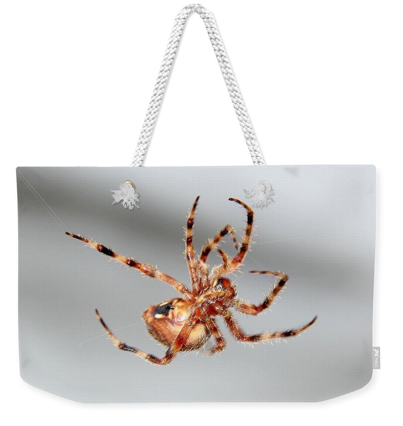 Spider Weekender Tote Bag featuring the photograph Garden Spider number 1 by Scott Brown