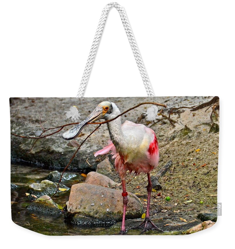 Spoonbill Weekender Tote Bag featuring the photograph Gatherer by Carol Bradley