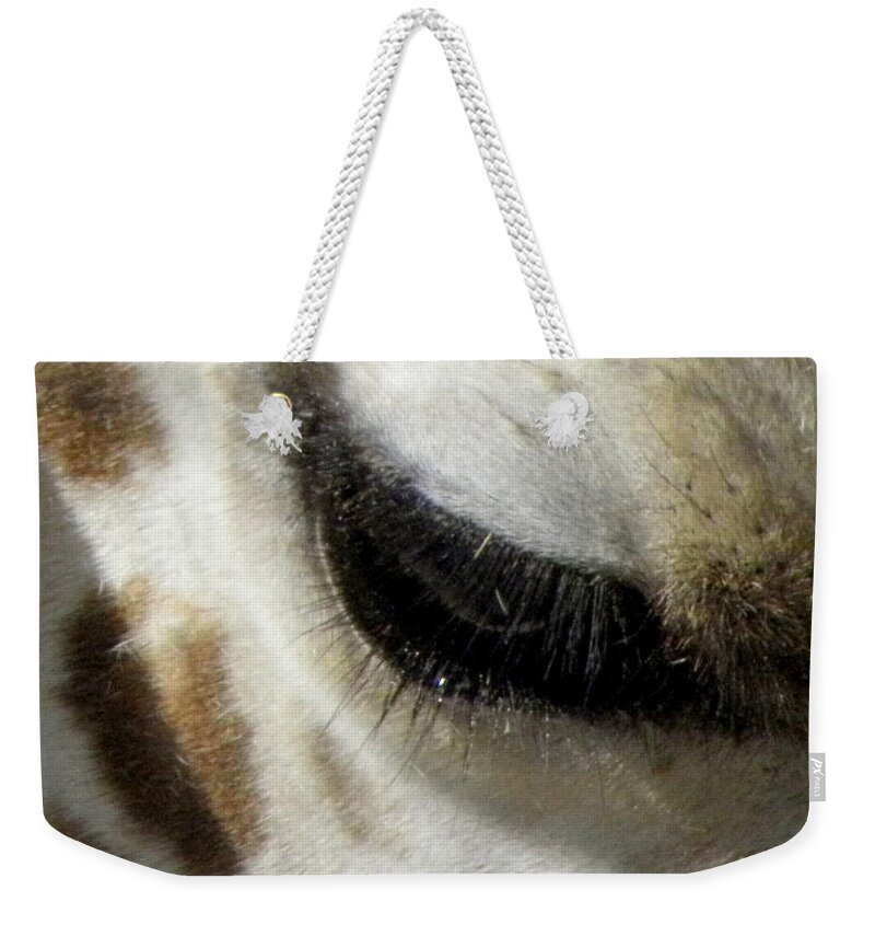 Giraffe Weekender Tote Bag featuring the photograph Gentle Eye by Kim Galluzzo