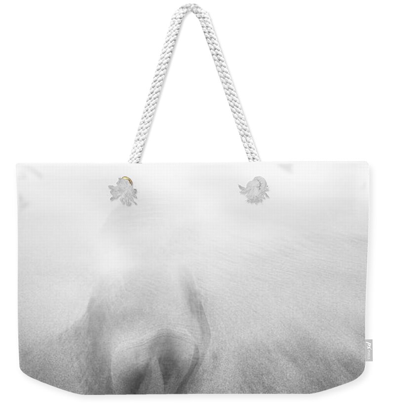 Beach Weekender Tote Bag featuring the photograph Getting Wet by Dorit Fuhg