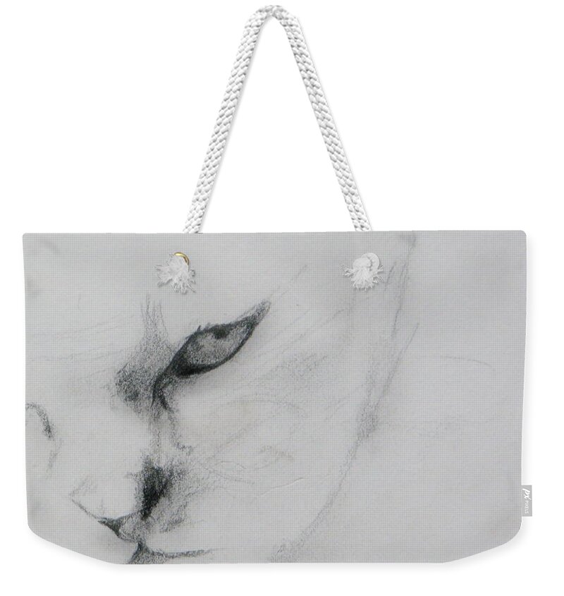 Cat Weekender Tote Bag featuring the drawing Ghost Cat by Rory Siegel