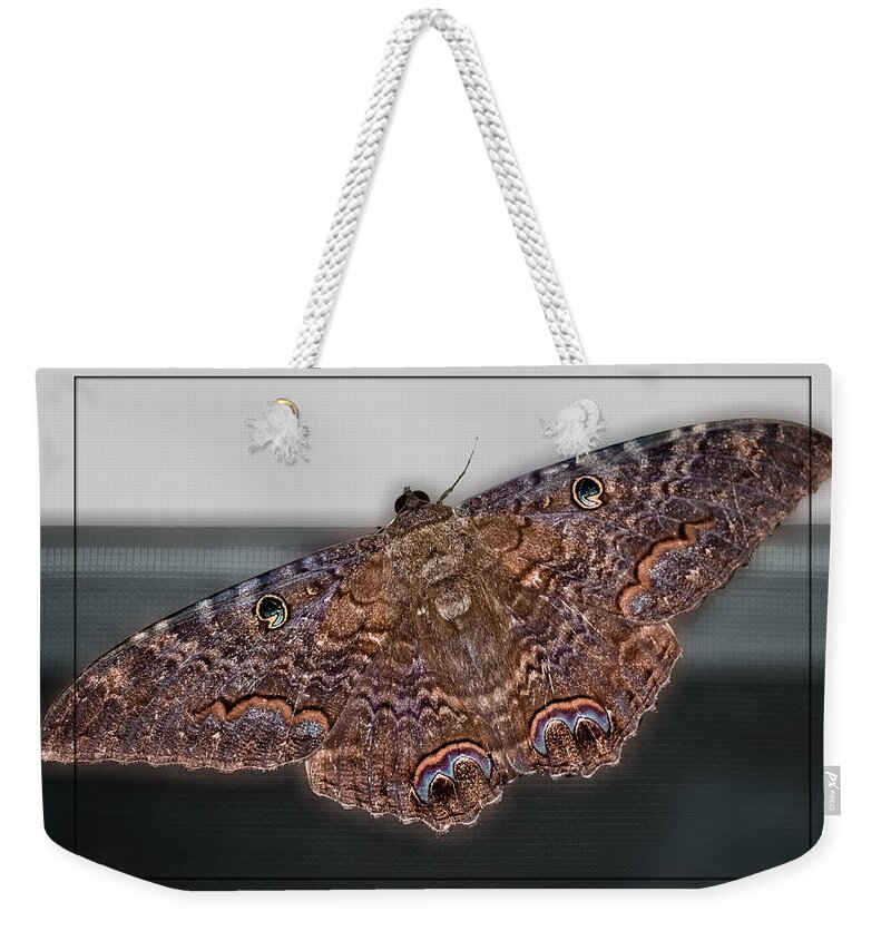 Moth Weekender Tote Bag featuring the photograph Giant Moth by DigiArt Diaries by Vicky B Fuller