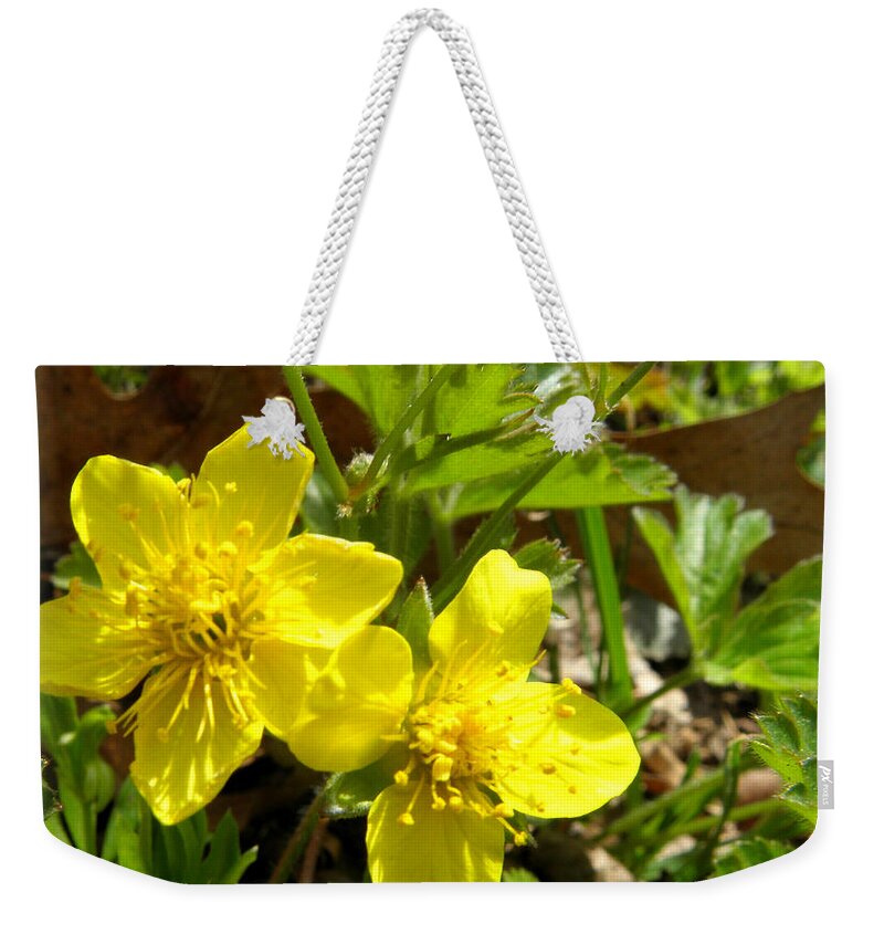 Flowers Weekender Tote Bag featuring the photograph Glowing Buttercups by Kim Galluzzo