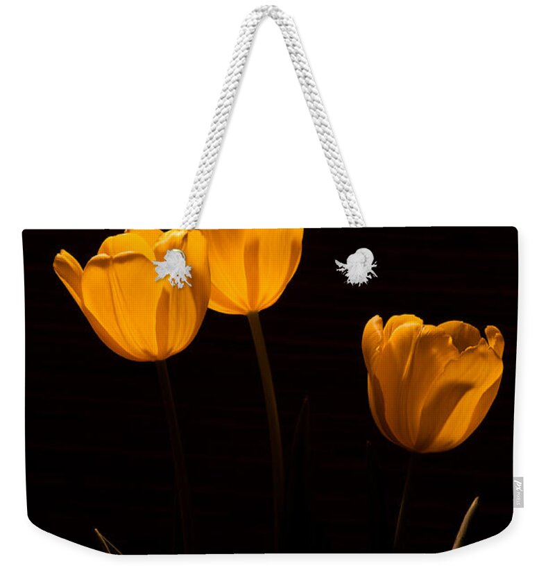 Flowers Weekender Tote Bag featuring the photograph Glowing Tulips by Ed Gleichman