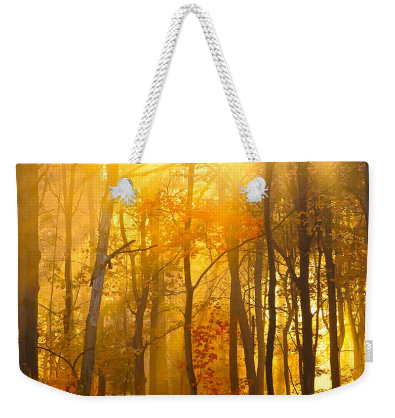 Foggy Morning Sun Bursting Thru Trees Weekender Tote Bag featuring the photograph God's Golden Light by Randall Branham