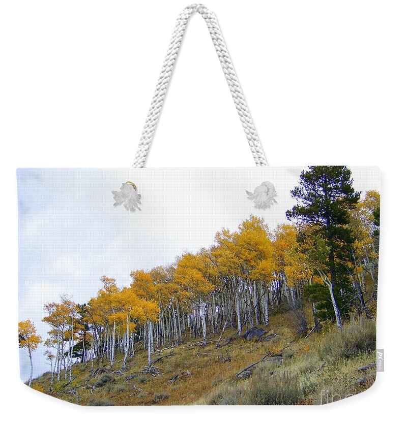 Aspen Weekender Tote Bag featuring the photograph Golden Stand by Dorrene BrownButterfield