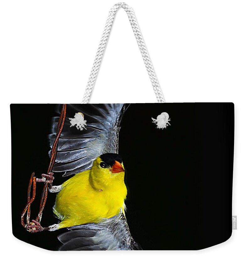 Goldfinch Wire Act Weekender Tote Bag featuring the photograph Goldfinch high wire act by Randall Branham