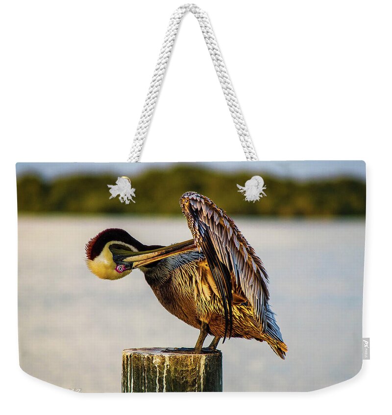 Pelicans Weekender Tote Bag featuring the photograph Gooming Pelican ll by Shannon Harrington